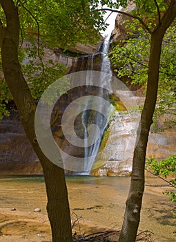 Waterfalls on Lower Calf Creek framed by trees