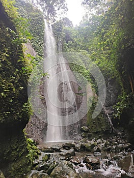 Waterfalls in the middle of rainforest jungle