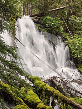 Waterfalls and mossy logs