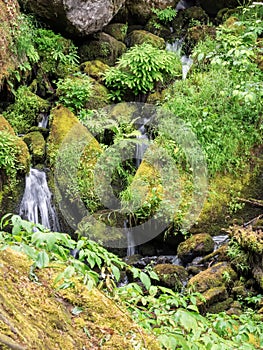 Waterfalls and mossy logs and rocks