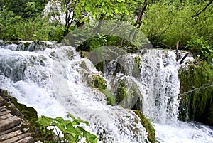 Waterfalls in plitvice national park