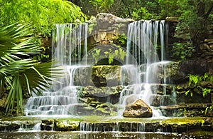 The Waterfalls in the Prehistoric Park at Zilker Botanical Garden in Austin Texas