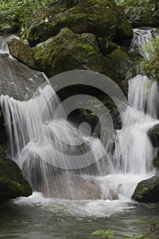 Waterfalls represent major interruptions in river flow.