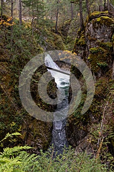 Waterfalls and river at Little Qualicum Falls Provincial Park, B.C