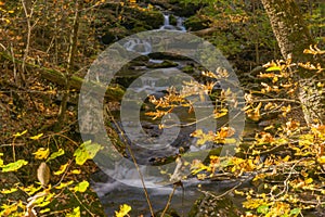 Waterfalls on Roaring Run Creek, Jefferson National Forest, USA