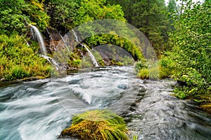 Waterfalls in the serene forest