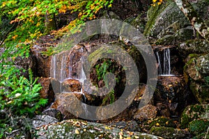 Waterfalls and stones in forest