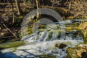 Waterfalls on a Trout Stream