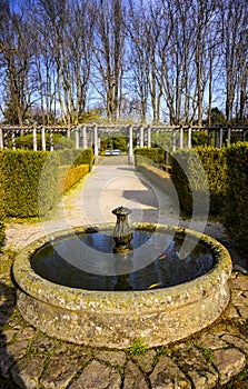 Waterfountian in a formal garden