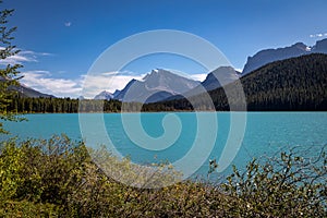 Looking South at Waterfowl Lake, glacier fed lake in the Canadian Rockies - off the Icefield Parkway, Canada photo