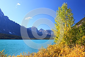 Waterfowl Lakes in Banff Park photo