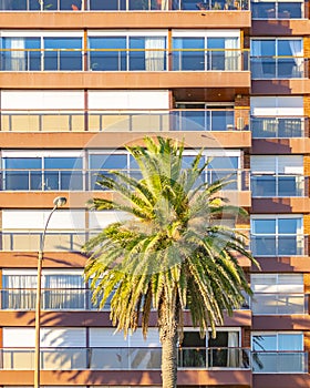 Waterfront Apartment Buildings, Montevideo, Uruguay photo