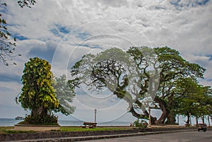 Waterfront with beautiful trees in cloudy weather. Dumaguete, Philippines