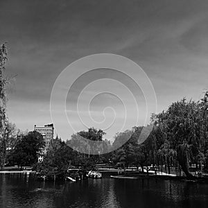 Waterfront in Boston Commons