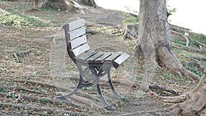 A Waterfront Chair