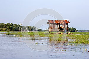 Waterfront cottage