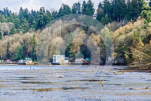 Waterfront Dash Point Homes 2