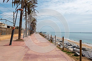Waterfront with palms row and sand beach in Vilassar de Mar photo