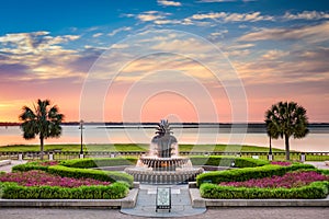 Waterfront Park Charleston photo