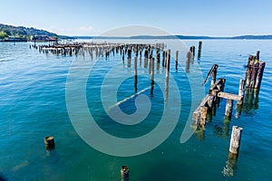 Waterfront Park Pilings 4