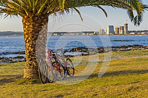 Waterfront Park, Punta del Este, Uruguay