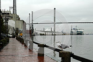 Waterfront in the Rain