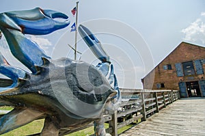 Waterfront scenes in washington north carolina