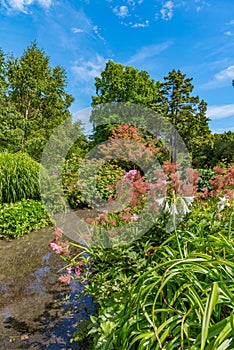 Watergarden at Christchurch Botanic garden in New Zealand