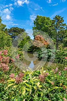 Watergarden at Christchurch Botanic garden in New Zealand