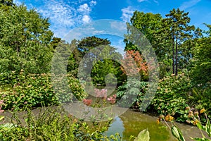 Watergarden at Christchurch Botanic garden in New Zealand