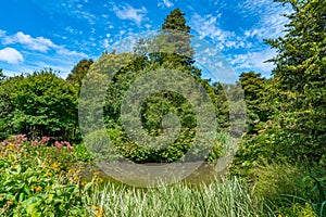 Watergarden at Christchurch Botanic garden in New Zealand