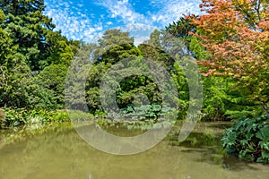 Watergarden at Christchurch Botanic garden in New Zealand