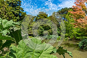 Watergarden at Christchurch Botanic garden in New Zealand