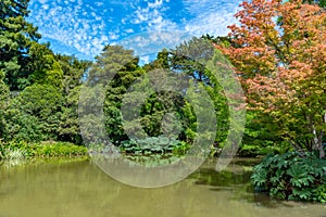 Watergarden at Christchurch Botanic garden in New Zealand