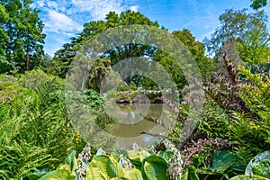 Watergarden at Christchurch Botanic garden in New Zealand