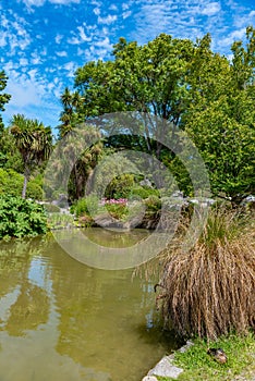 Watergarden at Christchurch Botanic garden in New Zealand