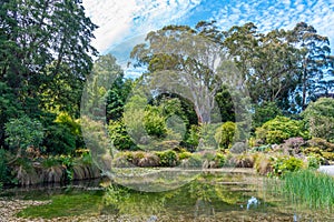 Watergarden at Christchurch Botanic garden in New Zealand