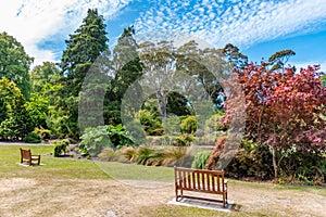 Watergarden at Christchurch Botanic garden in New Zealand