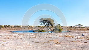 A waterhole, Onguma Game Reserve ( neighbour of Etosha National Park), Namibia.
