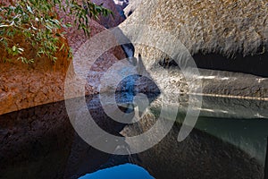 Waterhole by Uluru / Ayers Rock in the southern part of the Northern Territory photo