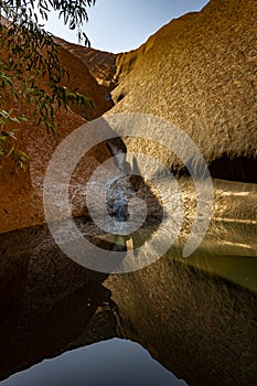 Waterhole by Uluru / Ayers Rock in the southern part of the Northern Territory photo