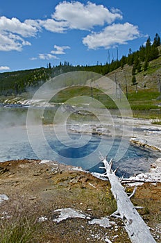 Waterhole yellowstone national park