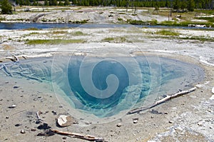 Waterhole yellowstone national park