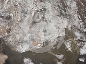 waterholes are bombarded with rainwater