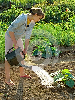 Watering