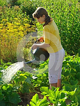 Watering