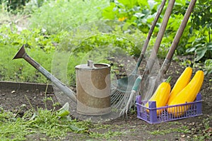 Watering