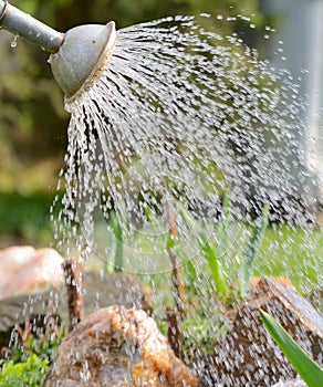 Watering