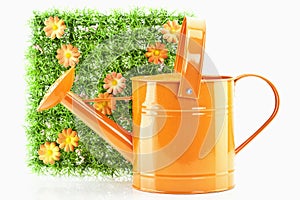 Watering-can