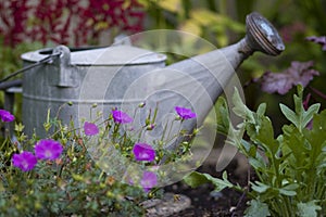 Watering can